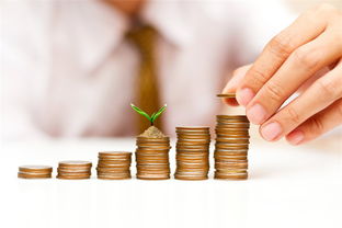 融資寒冬與獨角獸迷思 風險投資兩極分化如何重塑創(chuàng)業(yè)生態(tài)