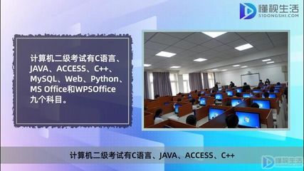 計算機等級考試一二三四級與專業(yè)方向的差異分析